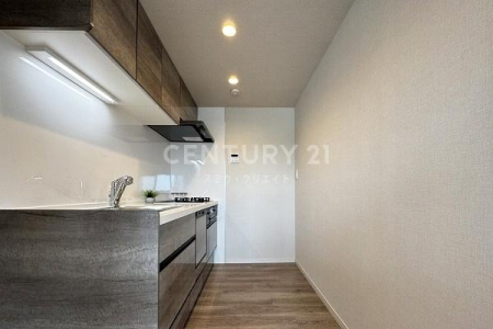 �����s�ڍ���ڍ�1���� 2-7�̒��Ã}���V�����̃L�b�`��