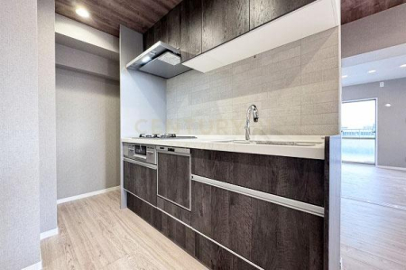 �����s��c��k�瑩2���� 19-4�̒��Ã}���V�����̃L�b�`��