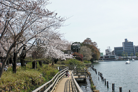 �����s��c��k�瑩2���� 19-4�̒��Ã}���V�����̎��ӊ�