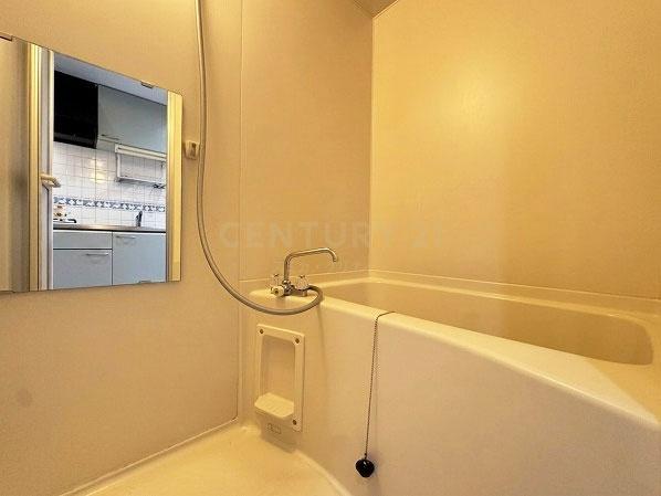 �����s�ڍ��扺�ڍ�2���� 21-16�̒��Ã}���V�����̗���
