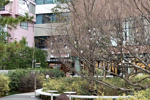 �����s�a�J��F�c�쒬 1-12�̒��Ã}���V�����̎��ӊ�