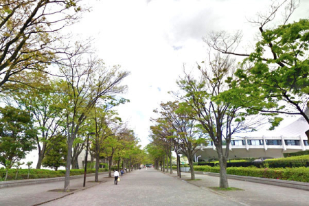 �����s�a�J��F�c�쒬 1-12�̒��Ã}���V�����̎��ӊ�