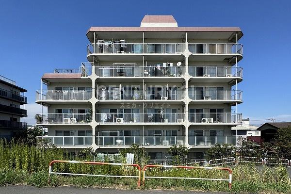 �����s��c��{�H�c3���� 21-16�̒��Ã}���V�����̂��̑����n