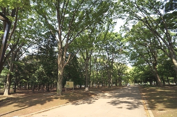 モア・クレスト神宮前 代々木公園まで1761m
