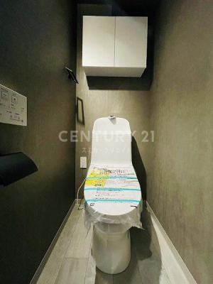 �����s�ڍ���`�̖؍�1���� 1-5�̒��Ã}���V�����̃g�C��