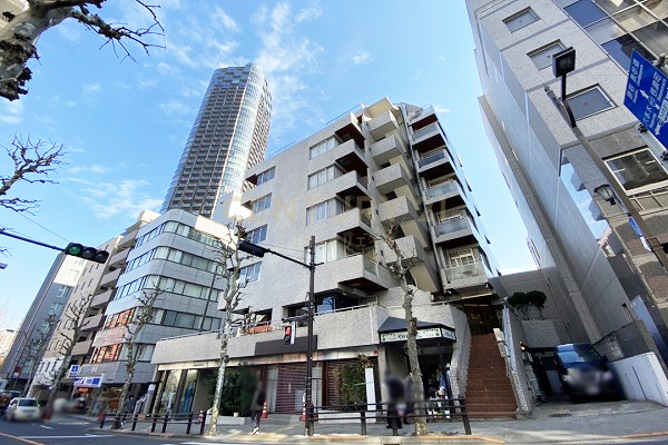 パレ乃木坂 建物外観(2021.1撮影)