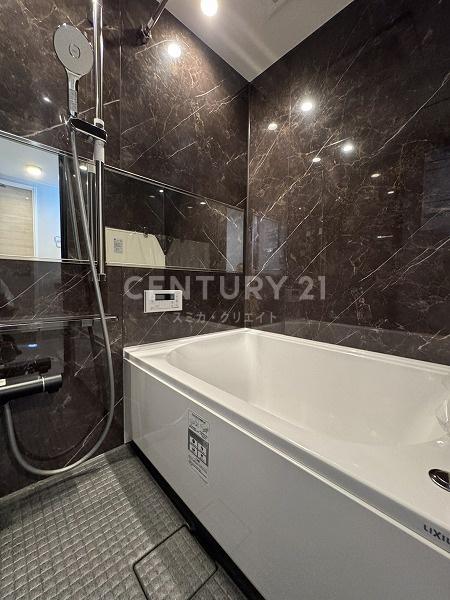 �����s�i��搼�ܔ��c6���� 24-14�̒��Ã}���V�����̗���