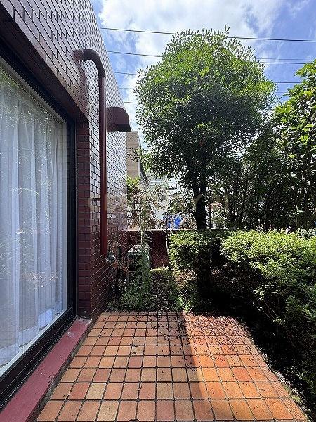 �����s�a�J�挳��X�ؒ� 51-24�̒��Ã}���V�����̒�