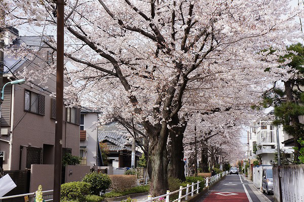 目黒区柿の木坂2丁目 売地