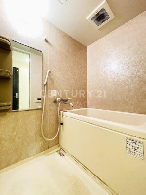 �����s�i��搼�ܔ��c2���� 29-10�̒��Ã}���V�����̗���