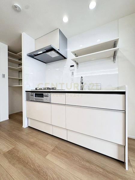 �����s�a�J�攦���J1���� 30-1�̒��Ã}���V�����̃L�b�`��