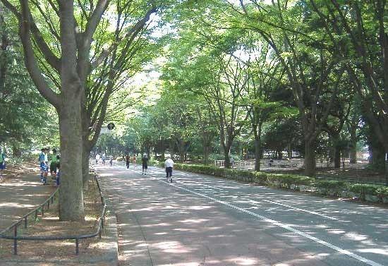 グラーサ駒沢大学 駒沢公園