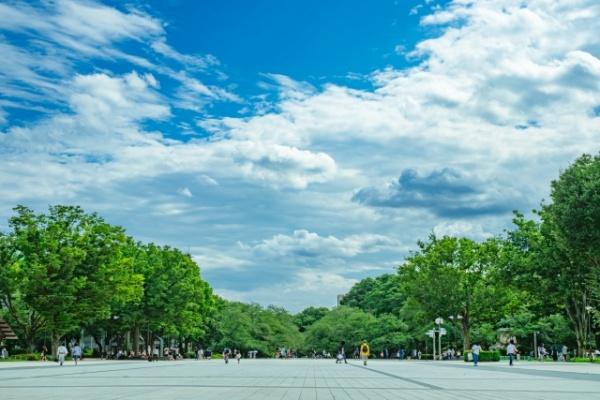 �����s�䓌�擌���5���� 17-5�̒��Ã}���V�����̎��ӊ�