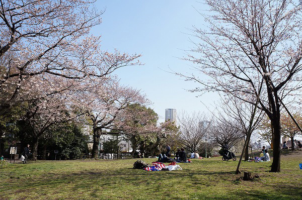 ネオアージュ中目黒 西郷山公園