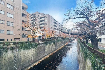 �����s�ڍ���t��1���� 24-2�̒��Ã}���V�����̉摜