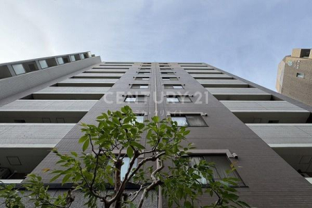 �����s�`�斃�z�\��3���� 11-8�̒��Ã}���V�����̉摜