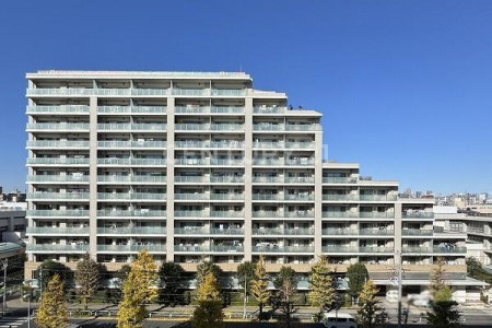 �����s���c�J��r�K2���� 3-13�̒��Ã}���V�����̉摜