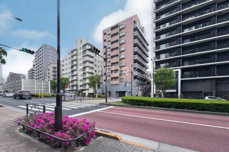 �����s�a�J���X��5���� 21-12�̒��Ã}���V�����̉摜