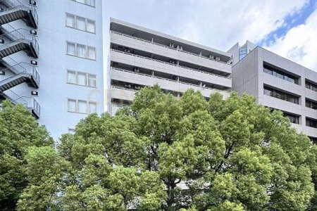 �����s�a�J�揉��1���� 54-4�̒��Ã}���V�����̉摜