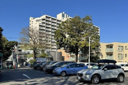 �����s�ڍ���蕶�J2���� 21-6�̒��Ã}���V�����̉摜