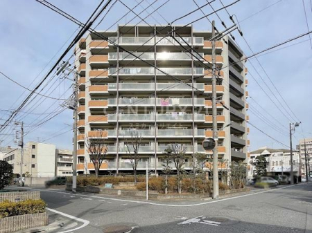 �����s��c���X��3���� 21-14�̒��Ã}���V�����̉摜