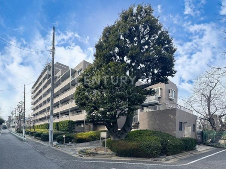 �����s���c�J��[��2���� 12-1�̒��Ã}���V�����̉摜