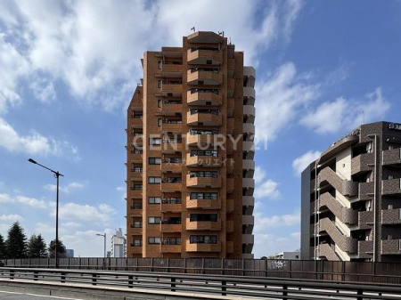 �����s�V�h�撆��1���� 2-4�̒��Ã}���V�����̉摜