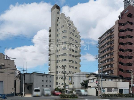 �����s��c���X��1���� 18-20�̒��Ã}���V�����̉摜