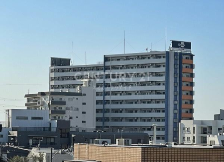 �����s���c�J��匴2���� 27-28�̒��Ã}���V�����̉摜