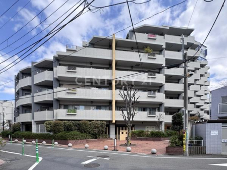 �����s���c�J��p��2���� 28-11�̒��Ã}���V�����̉摜