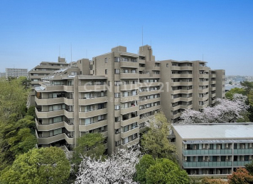 �����s���c�J���G�R2���� 31-31�̒��Ã}���V�����̉摜