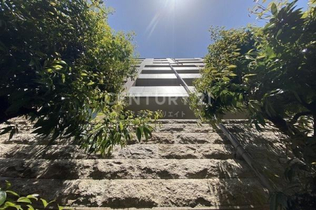 �����s�i��擌�ܔ��c1���� 5-1�̒��Ã}���V�����̉摜