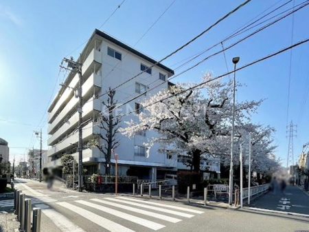 �����s�ڍ��撆��2���� 2-7�̒��Ã}���V�����̉摜