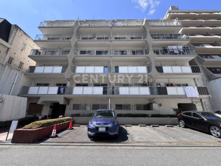 �����s�`��O�c3���� 7-26�̒��Ã}���V�����̉摜