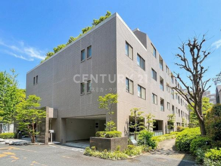 �����s�V�h�搼����c3���� 8-1�̒��Ã}���V�����̉摜