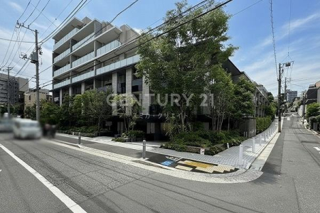 �����s�i������1���� 17-5�̒��Ã}���V�����̉摜