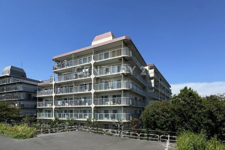 �����s��c��{�H�c3���� 21-16�̒��Ã}���V�����̉摜