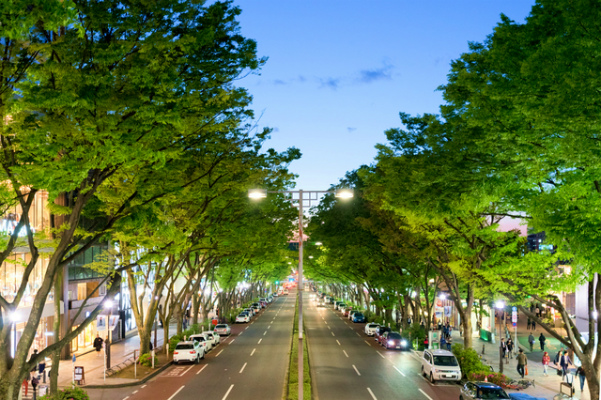 表参道・青山