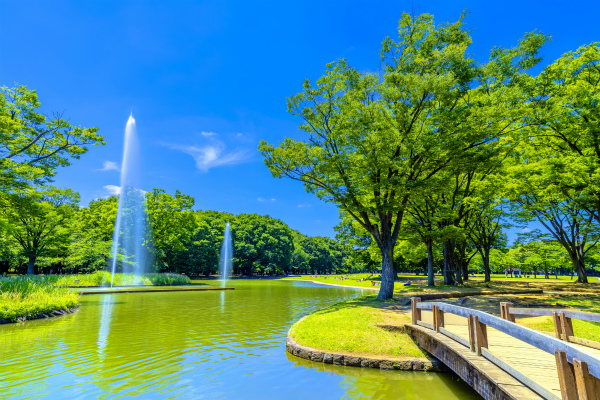 代々木公園