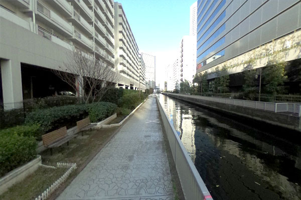 三田ナショナルコート 新芝運河沿緑地まで100m
