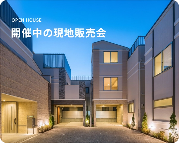 �J�Ò��̌��n�̔���