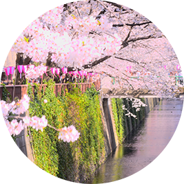 資産価値が落ちにくい！